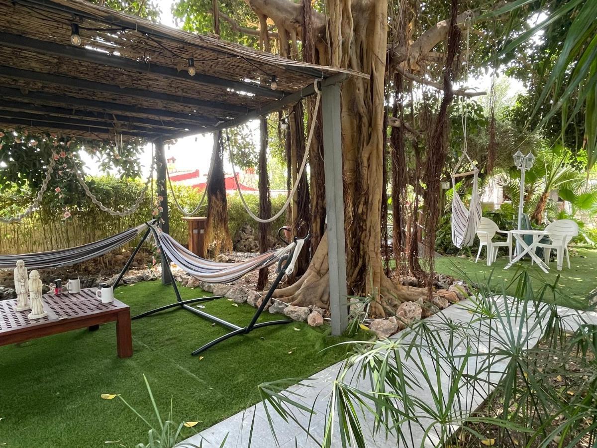 Suite Privada Frente A La Piscina Para 2 Personas Con Sofa Cama Para 2 Mas 4P No Es Casa Completa San Vicente Raspeig المظهر الخارجي الصورة